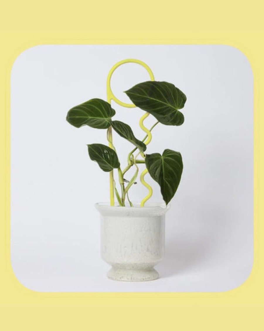 Home Decor Lucky Things | Lucky Things - Butter Plant Pin