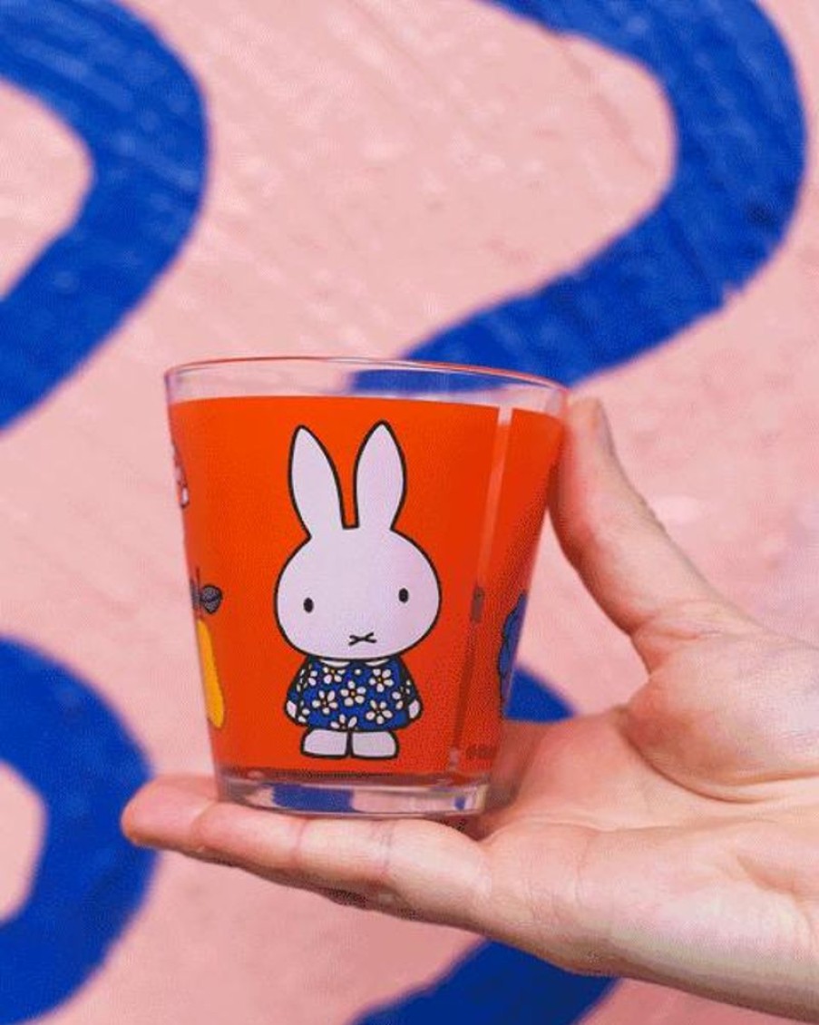 Tableware Miffy | Miffy - Delicious Glass