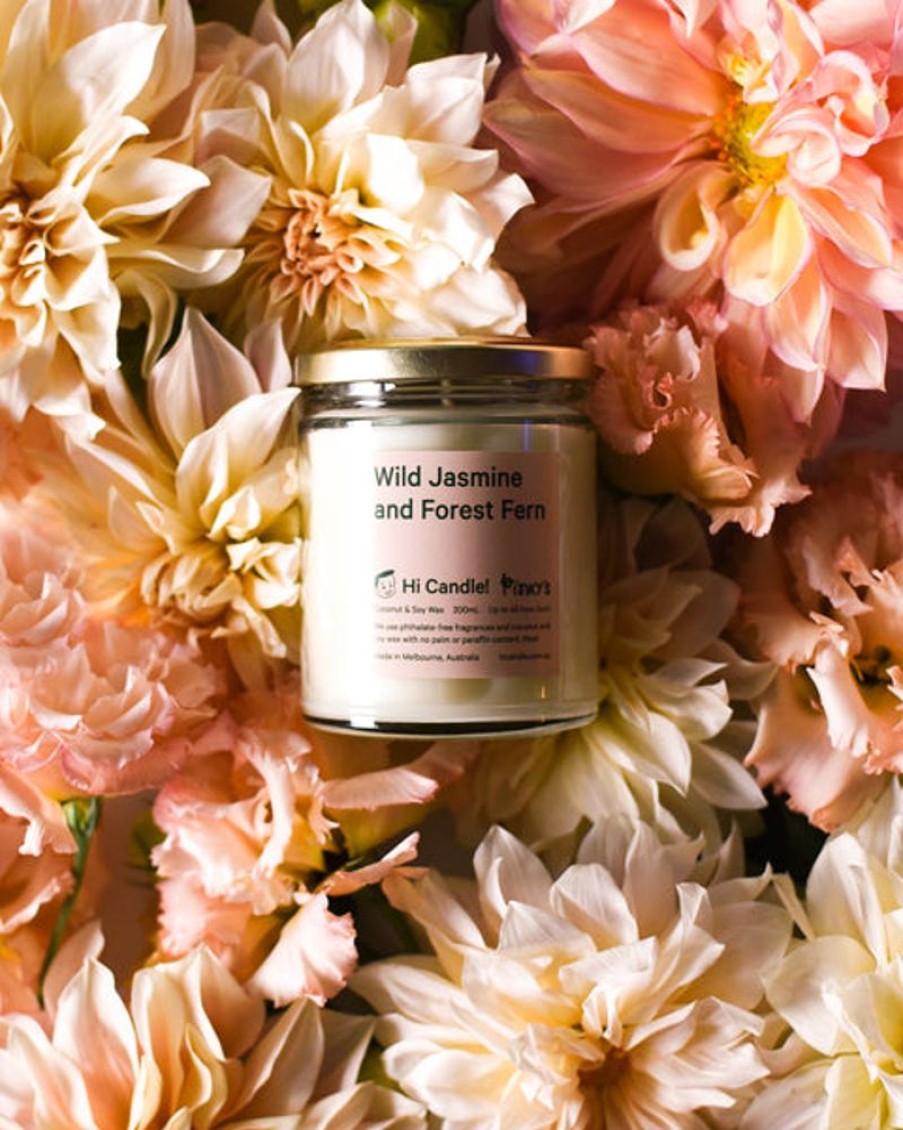 Scent & Care Hi Candle! | Hi Candle And Pinky'S - Wild Jasmine And Forest Fern