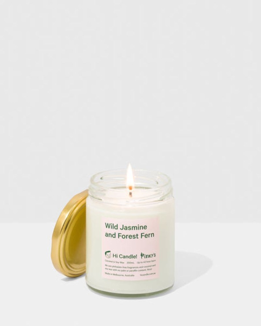 Scent & Care Hi Candle! | Hi Candle And Pinky'S - Wild Jasmine And Forest Fern